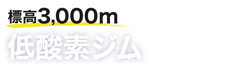 標高3000m低酸素ジム