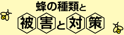 蜂の種類と被害と対策