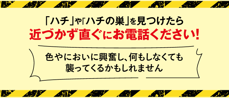 ハチやハチの巣を見つけたら近づかずに直ぐにお電話ください！