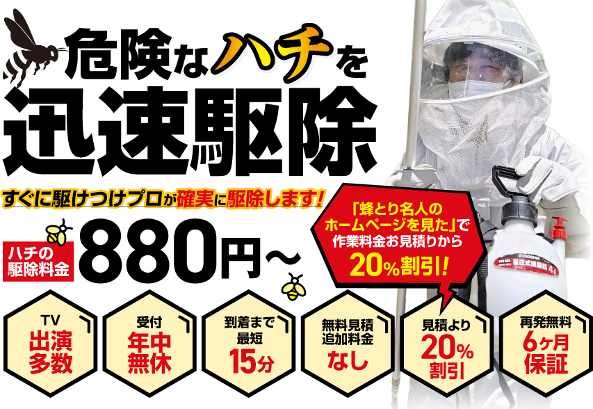 危険なハチを迅速駆除！すぐに駆けつけプロが確実に駆除します！