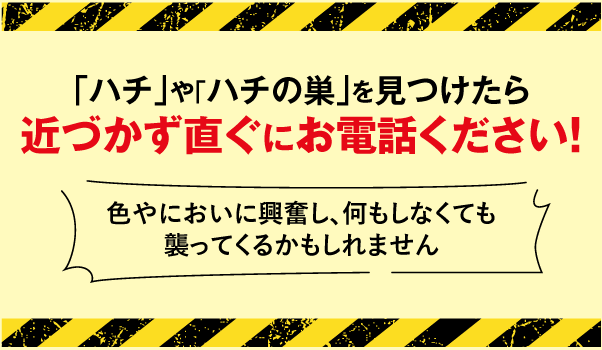 ハチやハチの巣を見つけたら近づかずに直ぐにお電話ください！