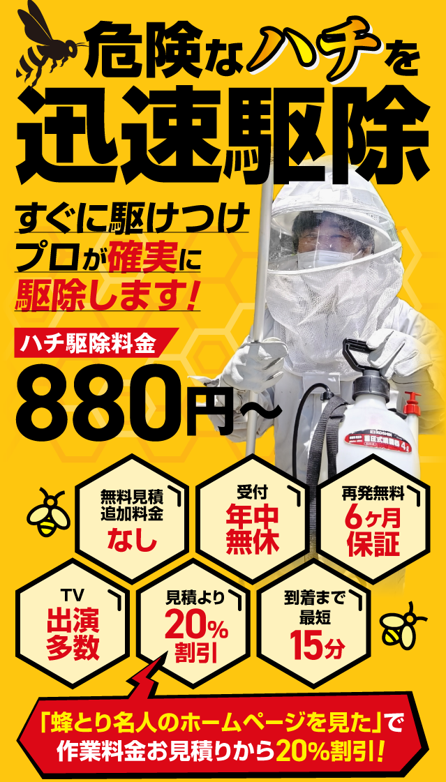 危険なハチを迅速駆除！すぐに駆けつけプロが確実に駆除します！