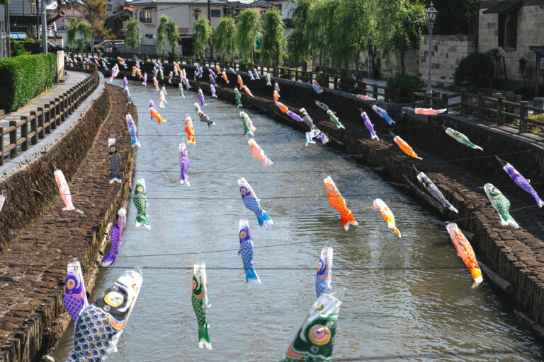 蔵の街で鯉のぼり散歩｜風に泳ぐ色とりどりの風景