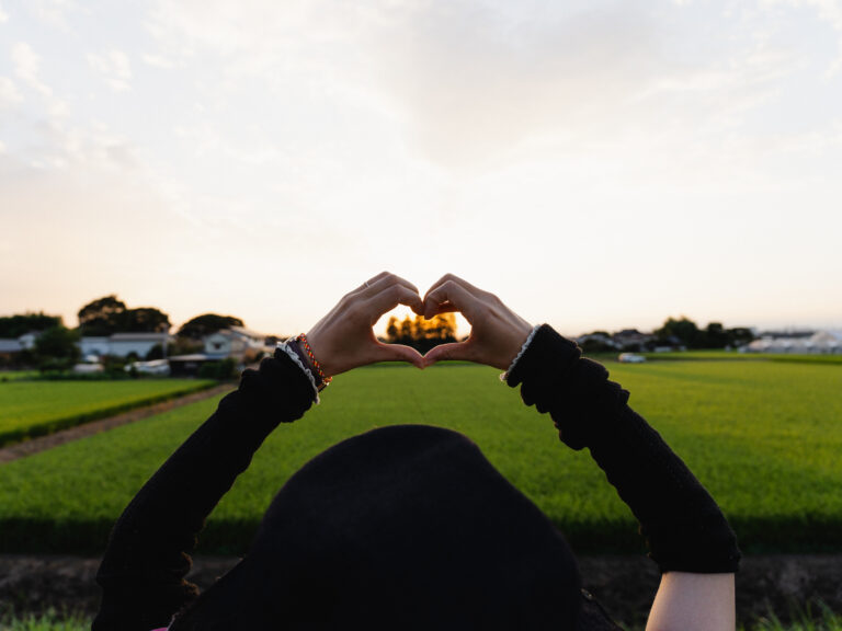 花火はどっちでみる？