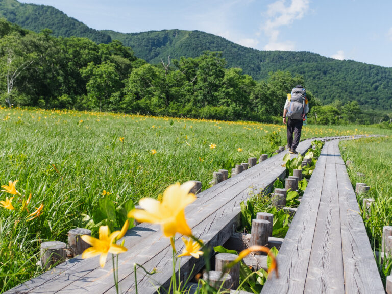 鹿さん食べないで