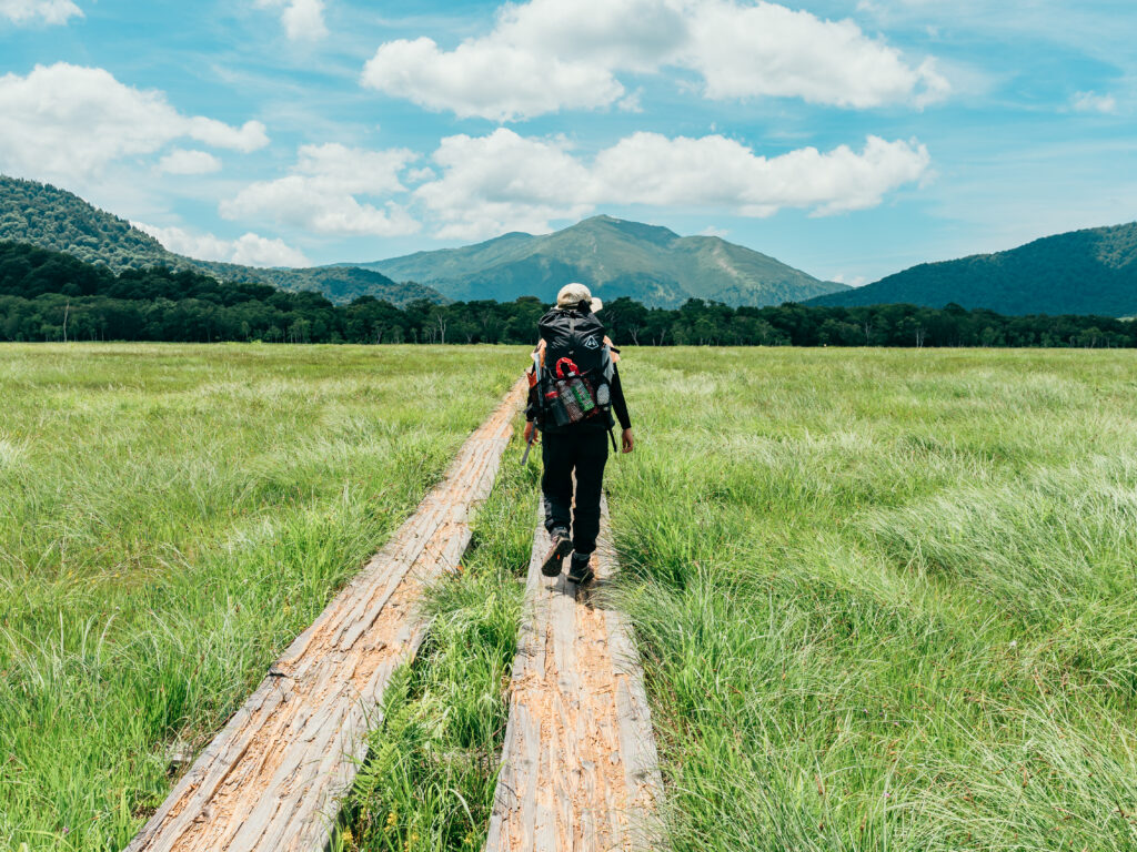 鹿さん食べないで